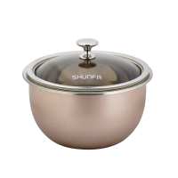 16cm Shunfa high quality stainless steel vacuum soup pot milk warmer pot food warmer pot